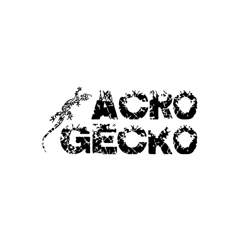 Accro Gecko